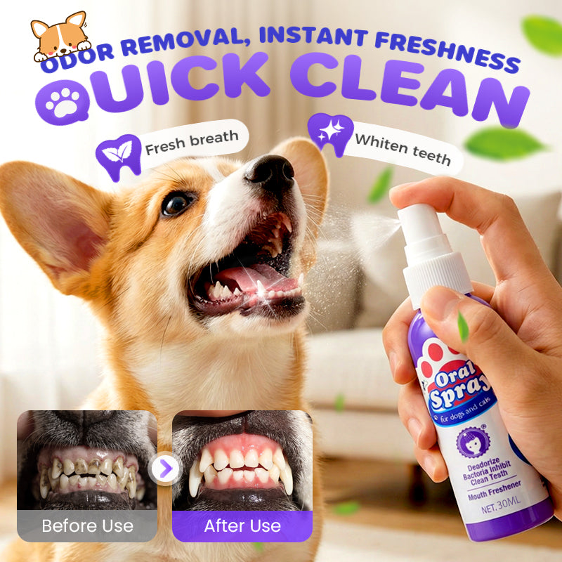🔥2026 New Arrivals: 40% Off for a Limited Time!🔥Teeth Cleaning Spray for Pets