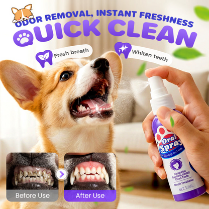 🔥2026 New Arrivals: 40% Off for a Limited Time!🔥Teeth Cleaning Spray for Pets