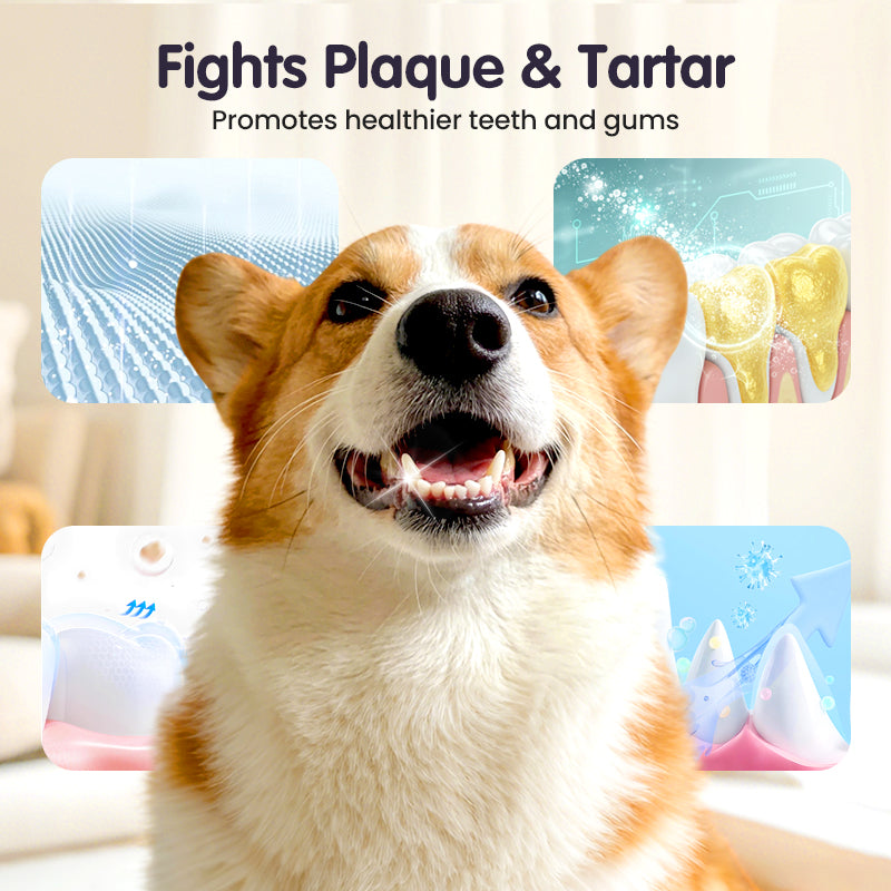 🔥2026 New Arrivals: 40% Off for a Limited Time!🔥Teeth Cleaning Spray for Pets
