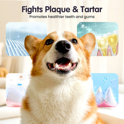 🔥2026 New Arrivals: 40% Off for a Limited Time!🔥Teeth Cleaning Spray for Pets